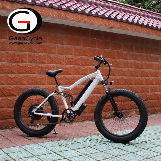 Full Suspension 1000W Fat Tire Electric Bicycle - Changzhou Gaea
