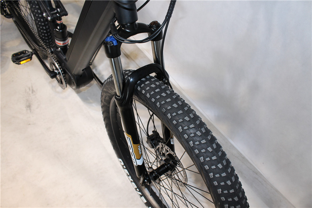 electric bike front suspension
