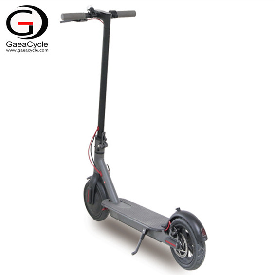 Foldable 36v MIni Electric Scooter