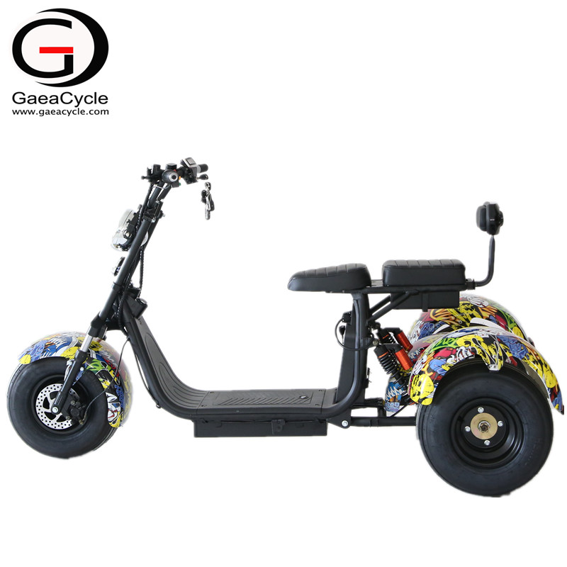 1000W/1500W Double Battery Citycoco 3 Wheel Electric Scooter 