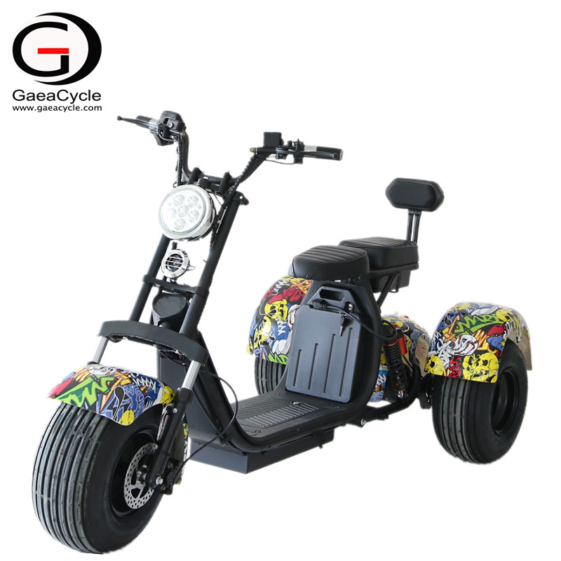 3 Wheel 1000w/1500w Electric Scooter Citycoco 