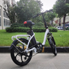 Folding Electric Bike, 20 Inch Foldable Ebike, Removable 48V Lithium Battery, Disc Brakes | Electric Bike Supplier | GaeaCycle