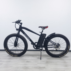 CycleGuy 1000W 7-Speed Electric Mountain Bicycle Fat Tire Electric Bike