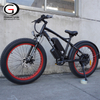 GaeaCycle Mustang 20 Inch Fat Tire Electric Bike, Dual Motor, Large Lithium Battery,7-Speed.| Electric Bike Manufacturer