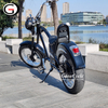 48 750 watts Chopper Electric Bicycle Fat Tire Ebike with Pedal Assist Electrical Bike Upgrade with Headlight LCD Display