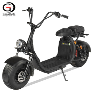 Holland WAREHOUSE Cheap Fat Tire Electric Scooter Double Battery Citycoco