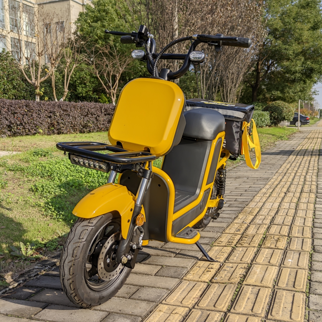 GaeaCycle XL04 Electric Scooter for Delivery 150km Long Range with Front and Rear Cargo Rack