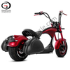 Saddlebags for Citycoco M1/M1P Electric Motorcycle Scooter