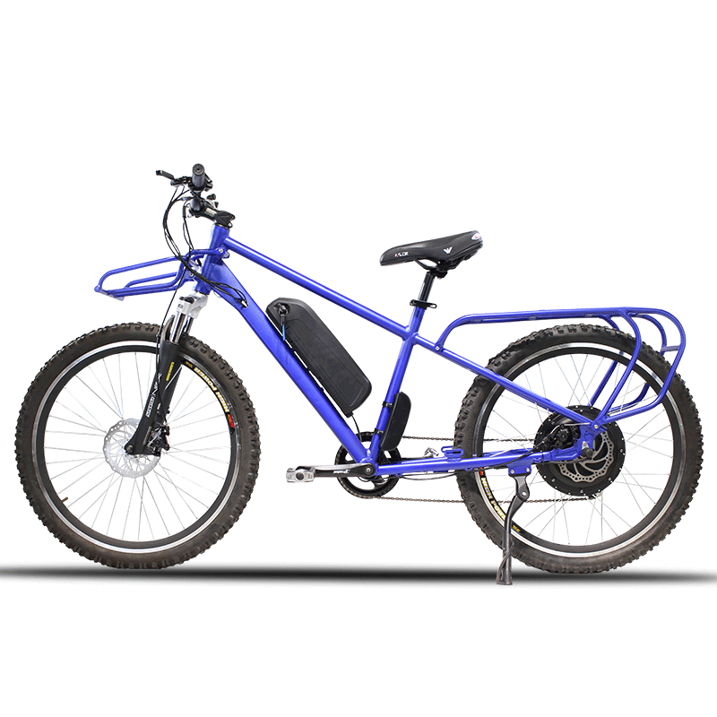 Big Seat Electric Cargo Mountain Bicycle Changzhou Gaea Technology Co
