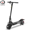 2020 Aluminum Alloy Electric Dual Motor Scooter Self Balance 500W motor 9inch Wide Wheel