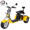 EEC COC 3 Wheeler Double Battery Citycoco Three Wheel Electric Scooter 