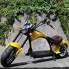 2000W Citycoco Electric Scooter Fat Tire Motorcycle